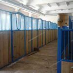 Денник з V-подібними дверима, Кінноспортивний клуб, Стайня, Літня стайня, Модульна стайня, Збірно-розбірні денники, Вулична стайня, Збірно-розбірні денники