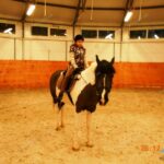 Металокаркас бочки для коней, будівництво бочки для коней, металокаркас бочки для тренування коней, металокаркас бочки манежу
