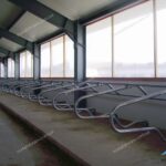 Боксы для лежания КРС, Разделитель стойловый для беспривязного содержания, Разделители боксовые, Стойла для коров, Стойловое оборудование КРС