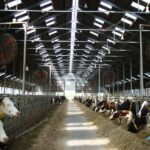 Оборудование для откорма Обладнання для відгодівлі