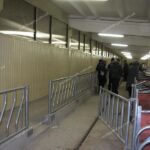 Обладнання кормового столу ВРХ оборудование кормового стола КРС