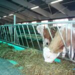 Диагональные решетки кормового стола Діагональні решітки кормового столу